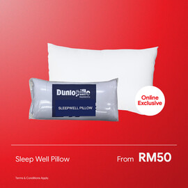 Sleep Well Pillow